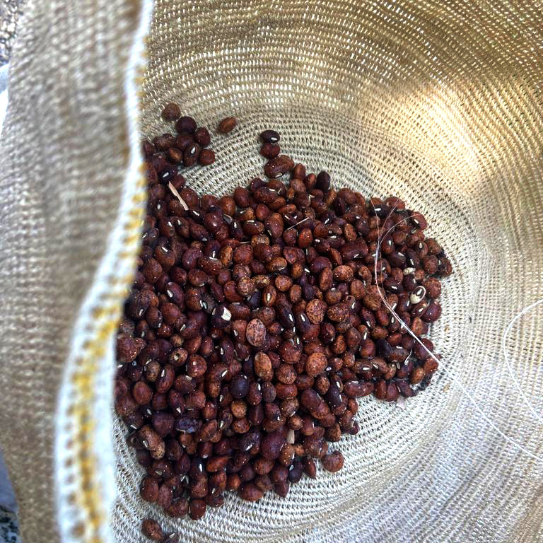 Brown seeds in a woven natural colored basket