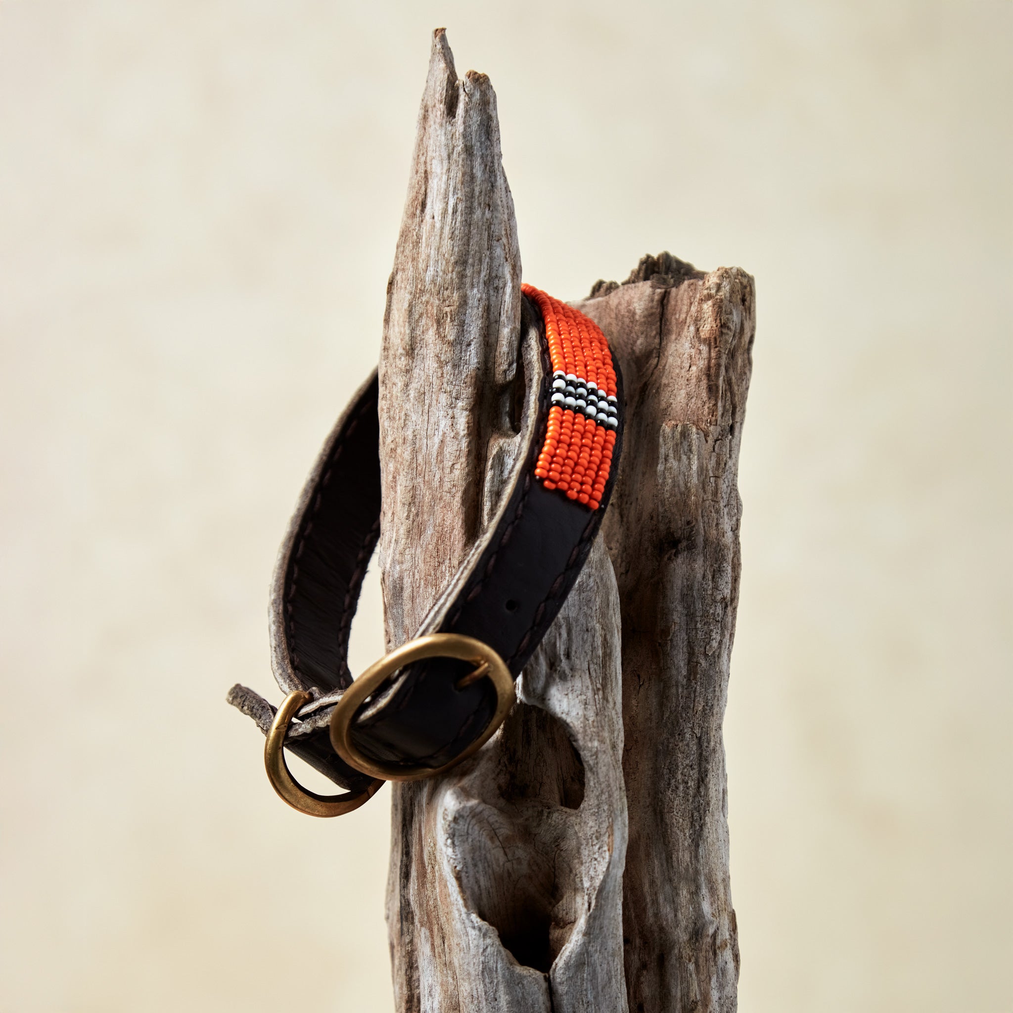 Brown leather dog collar with orange, black, and white beads and a brass buckle, hanging on a wood post against a beige background