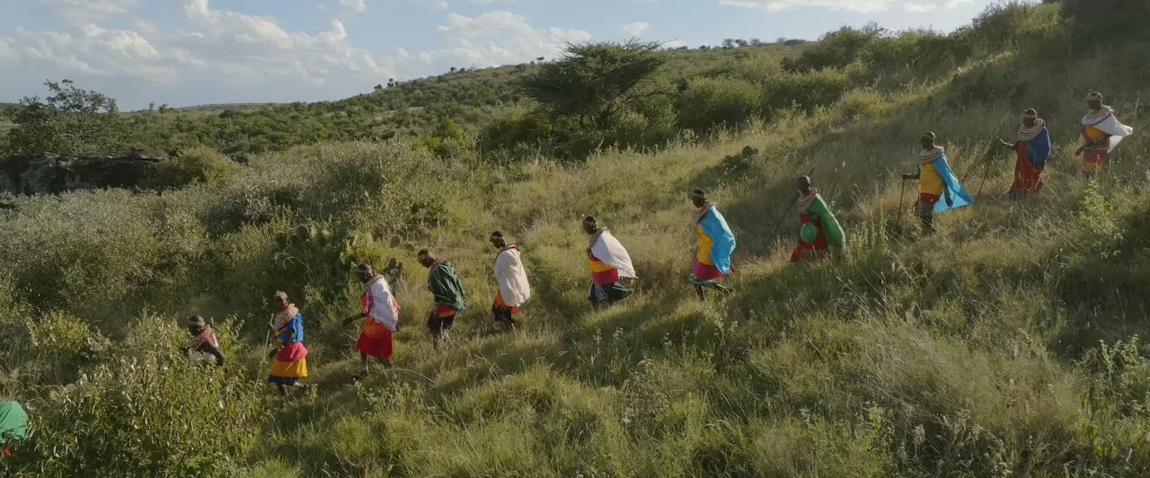 film showing the Samburu people and animals through the landscape in Kenya